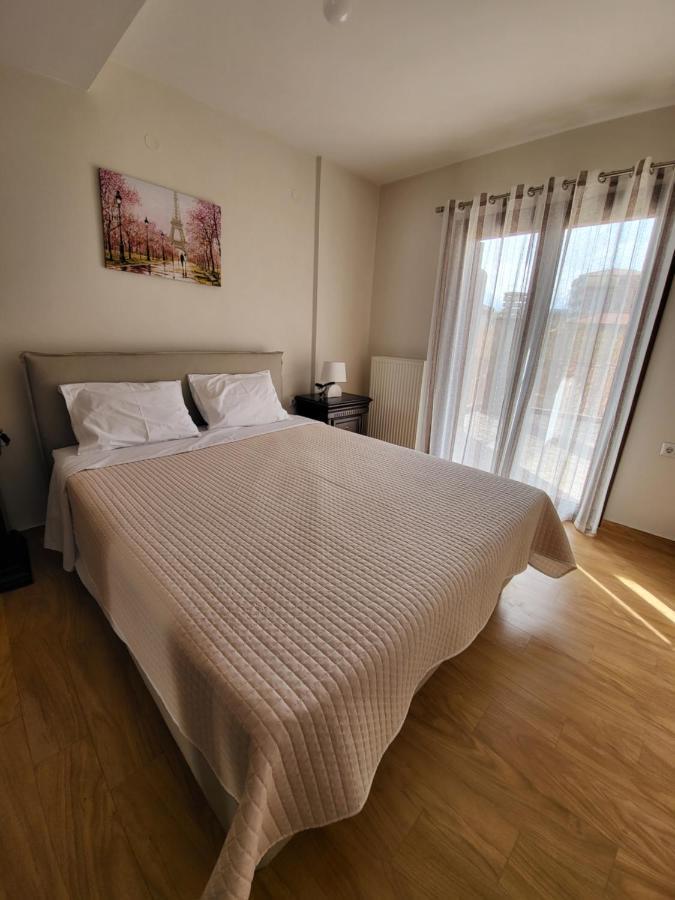 Αρτέμιδα Plus Karpenisi Apartment Dış mekan fotoğraf