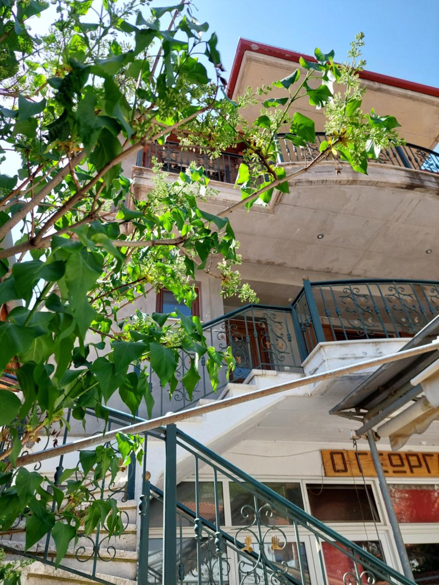 Αρτέμιδα Plus Karpenisi Apartment Dış mekan fotoğraf